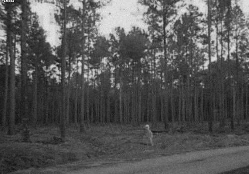 The Alaska Alien Photograph