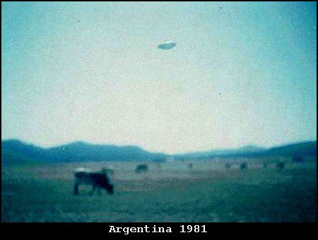 The "Argentina 1981" Photograph