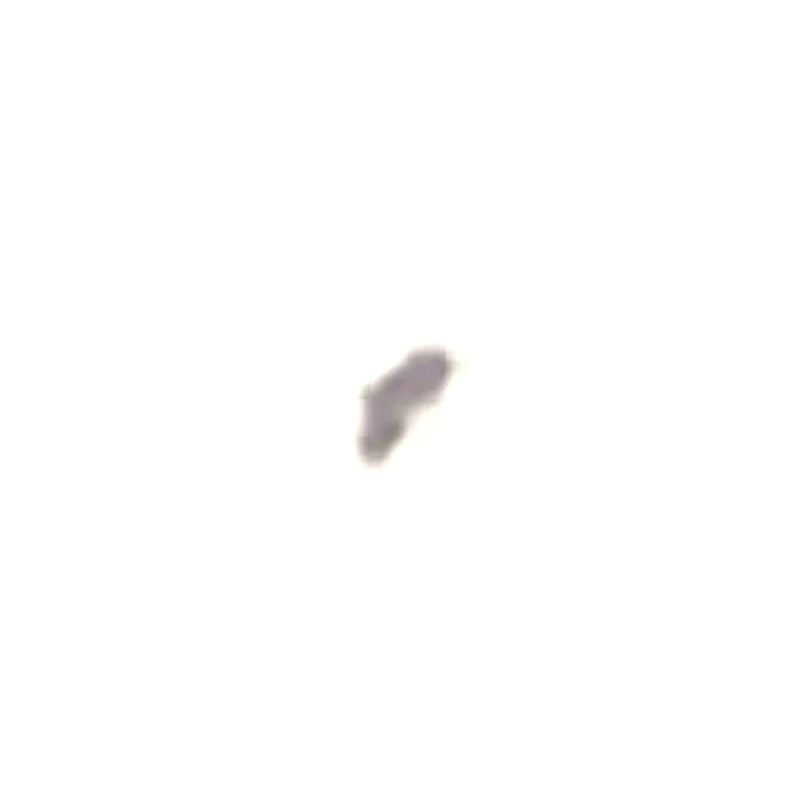 The identical object nine seconds later, at the same enlargement. It is now a compact angled form with a clear notch, taller than it is wide. A rigid craft cannot do this; a wingbeat does it continuously.
