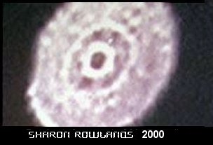 The Bonsall Video, Sharon Rowlands (2000)