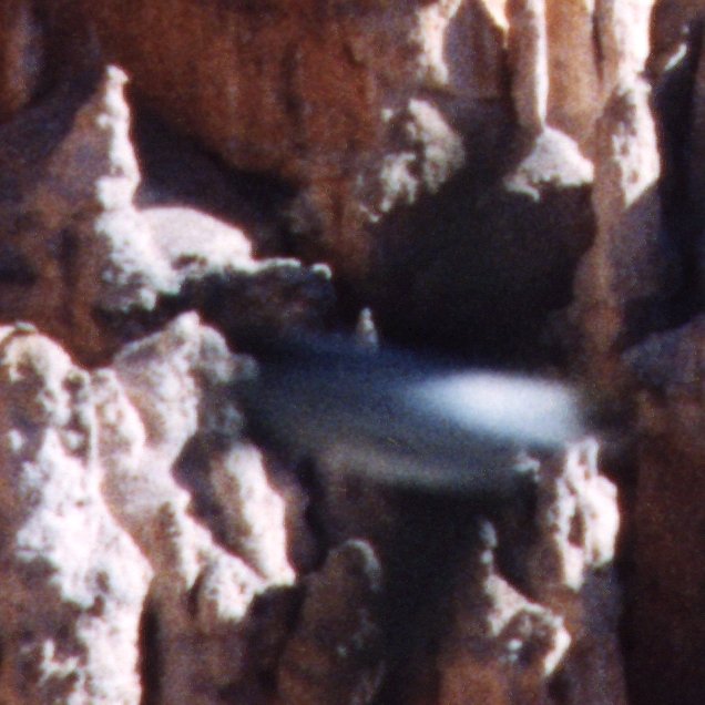 The Bryce Canyon Photo