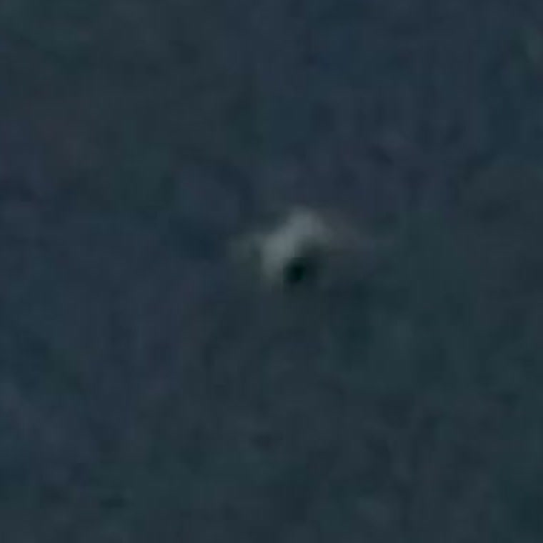 A zoomed crop of the object from the same frame. It reads as a pale, rounded form with a darker lower portion, sitting low on the water.