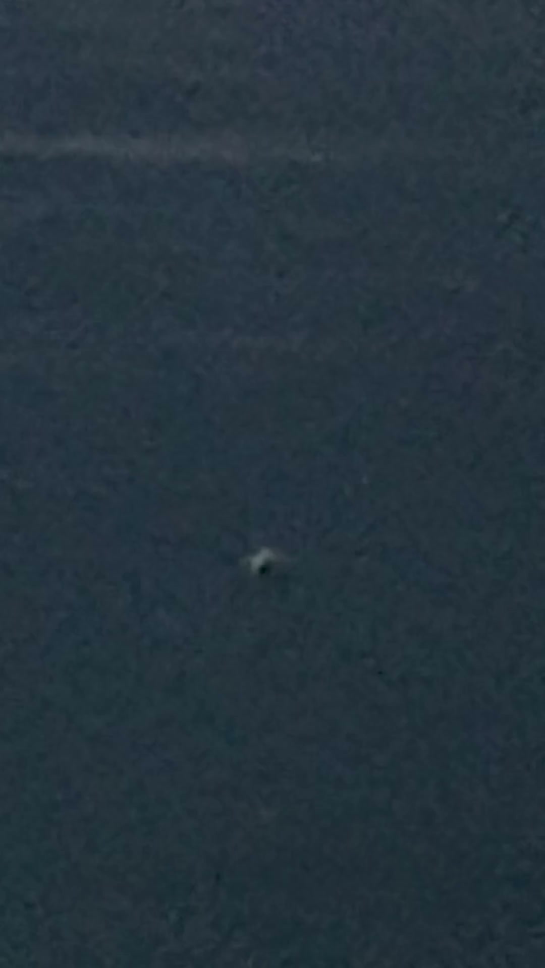 A Grey Sphere Falls Into Cape Cod Bay (20 June 2026)