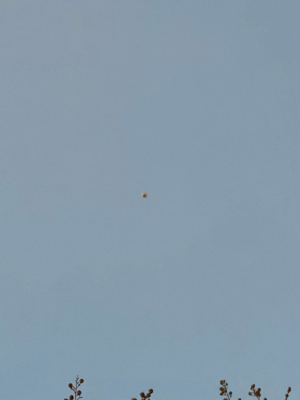 The second of the two Live Photo stills the witness captured before the object vanished. Witness photograph.
