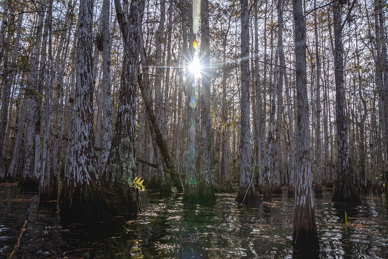 The Florida Everglades Encounter (Flynn, 1965)