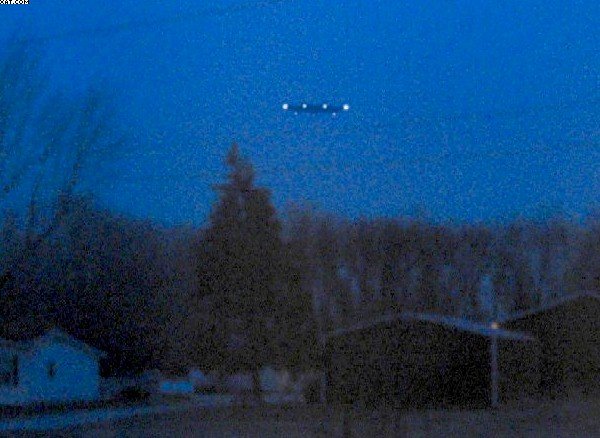 The Indiana Treeline Object