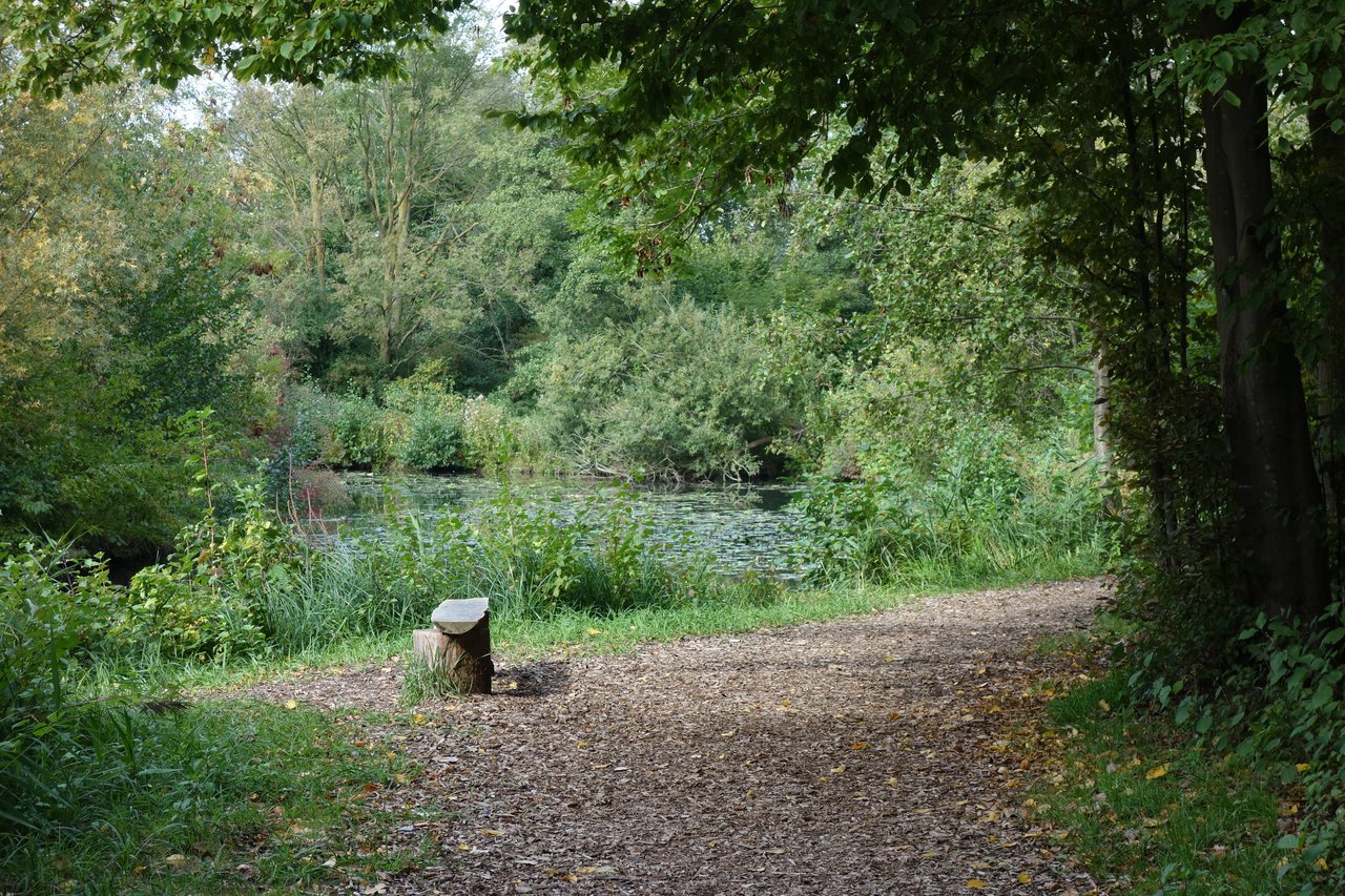 The Lintel Lake Incident