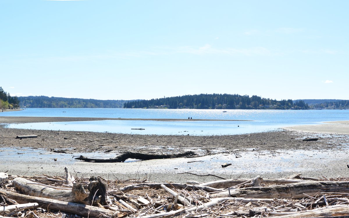 Quartermaster Harbor between Vashon and Maury Islands, Puget Sound, the waters of Dahl's 1947 sighting. No authenticated image of the objects or the original slag survives, so this shows the real location only. Photograph by Joe Mabel, licensed CC BY-SA 4.0, via Wikimedia Commons.
