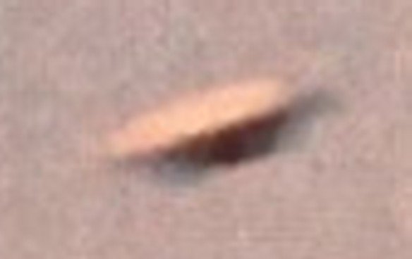 Blow-up of the disc-shaped object from the 1972 Plymouth Zoo photograph (BEAMS archive).