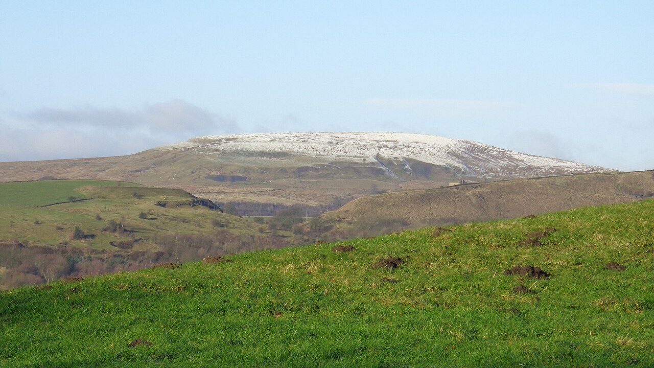 The Wardle Incident