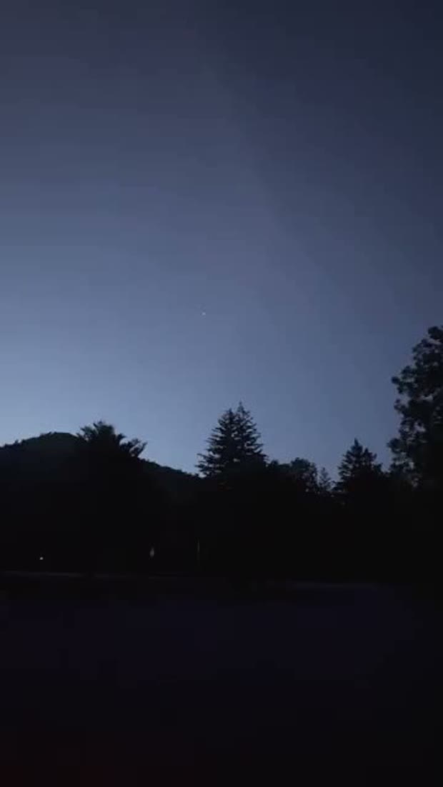 A brightened wider frame from later in the clip, showing the forested ridge and pines of the Pine Creek gorge with the faint point still in the sky.