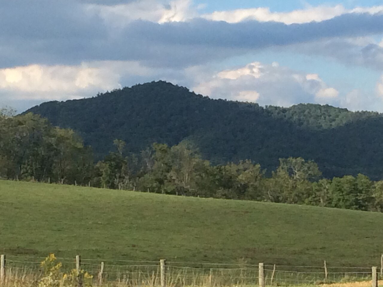 The Wytheville, Virginia Sightings